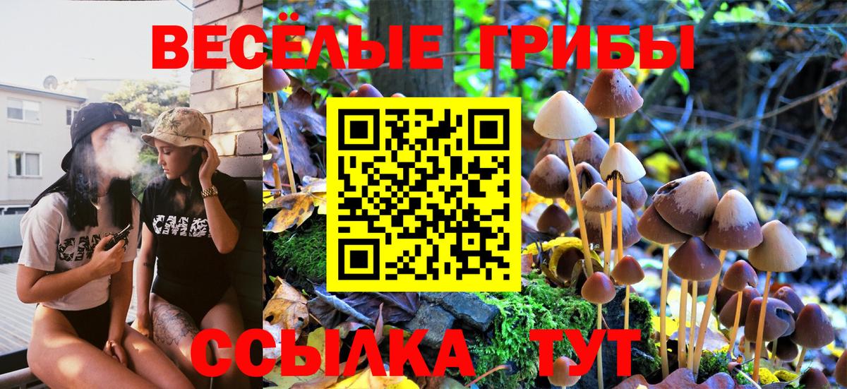 Псилоцибиновые грибы Cubensis Кумертау